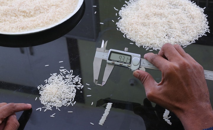Basmati rice quality check